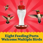 Pennington Glass Red Hummingbird Feeder, 16 oz Nectar Capacity - Image 2