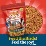 Pennington Recipe Selects Dried Mealworms for Birds, Bluebird and Wild Bird Food for Outside Feeder, 17.6 oz Bag, 1 Pack - Image 5