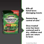Spectracide Triazicide Insect Killer for Lawns, Granules Kill Lawn-Damaging Insects, 20 lb - Image 2