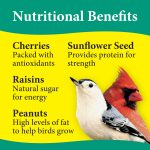 3-D Pet Products Premium Songbird Blend Dry Wild Bird Food, 5 lb.; 1 Pack, Does Not Contain Fillers - Image 5