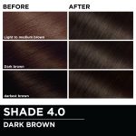 Garnier Olia Oil Powered Permanent Hair Color, 4.0 Dark Brown - Image 5