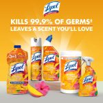 Lysol Brand New Day All Purpose Cleaner Mango & Hibiscus, Deep Clean 32 fl oz - Image 6