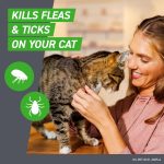 FRONTLINE Plus for Cat & Kitten Flea & Tick Spot Treatment, 3 Count - Image 4