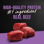 Cesar Classic Loaf in Sauce Wet Dog Food Filet Mignon Flavor, 3.5 oz. Easy Peel Tray, 1 Count - Image 5