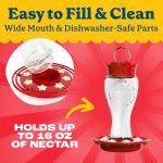 Pennington Glass Red Hummingbird Feeder, 16 oz Nectar Capacity - Image 5