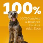 Pedigree Choice Cuts In Gravy Adult Soft Wet Dog Food With Beef Multipack, 13.2 Oz Cans 12 Pack - Image 5