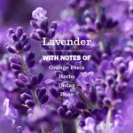 Mrs. Meyer’s Clean Day Hand Soap, Lavender Scent, 12.5 Fl Oz - Image 2