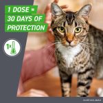 FRONTLINE Plus for Cat & Kitten Flea & Tick Spot Treatment, 3 Count - Image 6