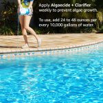 Clorox Pool&Spa Algaecide + Clarifier - Image 5
