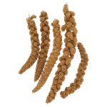 F.M. Brown's Extreme Spray Millet Treat 16 Oz For Parakeets, Cockatiels, and Finches - Image 2
