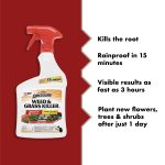 Spectracide Weed and Grass Killer, Use On Patios, Walkways And Driveways, 32 Ounces - Image 2