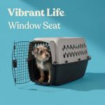 Vibrant Life Small Plastic Hard-Sided Pet Carrier, Black and Gray, 15 lb Limit - Image 4