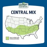 Expert Gardener Sun & Shade Southern Grass Seed Mix, for Sun to Partial Shade, 3 lb. - Image 2