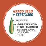 Pennington Smart Seed Bermudagrass Grass, Bermuda Grass Seeds for Lawn, Full Sun, 1.75 lb - Image 7
