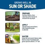 Expert Gardener Sun & Shade Southern Grass Seed Mix, for Sun to Partial Shade, 3 lb. - Image 3