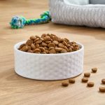 Pure Balance Wild & Free Grain-Free Salmon & Pea Recipe Dry Dog Food, 24 lbs - Image 2