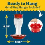 Pennington Glass Red Hummingbird Feeder, 16 oz Nectar Capacity - Image 4