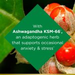 Nature's Bounty Anxiety & Stress Relief Ashwagandha KSM-66, Dietary Supplement, Tablets, 90 Ct - Image 4