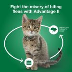 Advantage II Vet-Recommended Flea Prevention for Small Cats 5-9 lbs, 2-Monthly Treatments - Image 3
