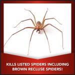 Eliminator Ant, Flea & Tick Killer Plus Lawn Insect Granules Pesticide, 20lb - Image 4