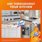 Lysol Brand New Day All Purpose Cleaner Mango & Hibiscus, Deep Clean 32 fl oz - Image 5