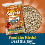 Pennington Recipe Selects Sunflower Chips, Dry Wild Bird Food and Seed, 5 lb. Bag, 1 Pack - Image 2
