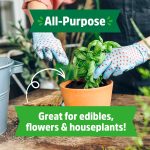 Back to the Roots Organic All-Purpose, Peat-Free Premium Potting Mix (6 QT) - Image 5