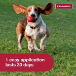 K9 Advantix II Monthly Flea & Tick Prevention for Medium Dogs 11-20 lbs, 2-Monthly Treatments - Image 5