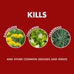 Spectracide Weed and Grass Killer, Use On Patios, Walkways And Driveways, 32 Ounces - Image 3