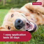 K9 Advantix II Monthly Flea & Tick Prevention for Large Dogs 21-55 lbs, 2-Monthly Treatment - Image 5