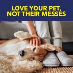 OxiClean Carpet and Rug Pet Stain and Odor Remover Spray, 24 fl oz - Image 6