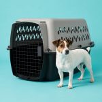 Vibrant Life Small Plastic Hard-Sided Pet Carrier, Black and Gray, 15 lb Limit - Image 2