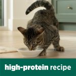 Purina Cat Chow Naturals Chicken Flavor Dry Cat Food, 18 lb Bag - Image 4