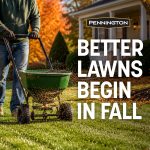 Pennington Kentucky 31 Tall Fescue Grass Seeds for Lawn, for Sun to Partial Shade, 3 lb - Image 2