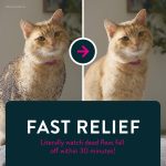 CAPSTAR (Nitenpyram) Fast-Acting Oral Flea Treatment for Cats (2-25 lbs), 6 Tablets, 11.4 mg - Image 7