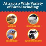 Pennington Recipe Selects Dried Mealworms for Birds, Bluebird and Wild Bird Food for Outside Feeder, 17.6 oz Bag, 1 Pack - Image 6