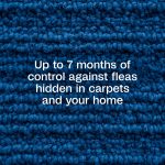 ADAMS Flea & Tick Carpet & Home Spray, Kills Bed Bugs, Fleas, Ticks, Spiders, Ants, For Indoor Home Treatment, 7 Month Flea Protection, Treats Up to 2,000 Sq Ft, 16 oz - Image 3