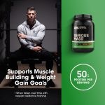 Optimum Nutrition Serious Mass, Chocolate, Weight Gainer Protein Powder, Mass Gainer, 3 lb - Image 5