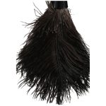 EverClean Ostrich Feather Duster - Image 4