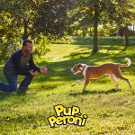 Pup Peroni Filet Mignon & Bacon Flavor Dog Treats, 5.6 oz Bag - Image 3