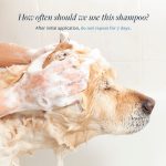Veterinary Formula Flea & Tick Shampoo for Dogs & Cats, 16 fl oz - Image 4