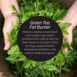 Applied Nutrition Green Tea Fat Burner®, 90 Fast-Acting Liquid Soft-Gels - Image 3