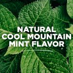 Tom's of Maine Wicked Fresh! Alcohol-Free Natural Mouthwash, Cool Mountain Mint, 16 oz. - Image 5