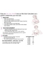 Hanes Womens Wireless Bra, Smooth Comfort Full Coverage Bra, Foam Cups, Convertible Bra Straps, Sizes S-L+ - Image 7