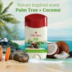 Old Spice Men's Antiperspirant & Deodorant, 24/7 Sweat Protection, Fiji with Palm Tree, 2.6 oz - Image 4