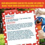 Pennington Recipe Selects Dried Mealworms for Birds, Bluebird and Wild Bird Food for Outside Feeder, 17.6 oz Bag, 1 Pack - Image 4