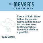 Mrs. Meyer's Clean Day Liquid Hand Soap Refill, Rainwater, 33 OZ (Pack of 6) - Image 2