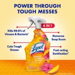 Lysol Brand New Day All Purpose Cleaner Mango & Hibiscus, Deep Clean 32 fl oz - Image 2