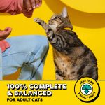 Temptations Classic Tempting Tuna Flavor Crunchy And Soft Treats For Cats, 30 Oz Pouch - Image 4