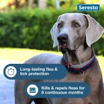 Seresto Flea & Tick Collar For Dogs Over 18 lbs., Vet-Recommended, 8 Month Protection - Image 4